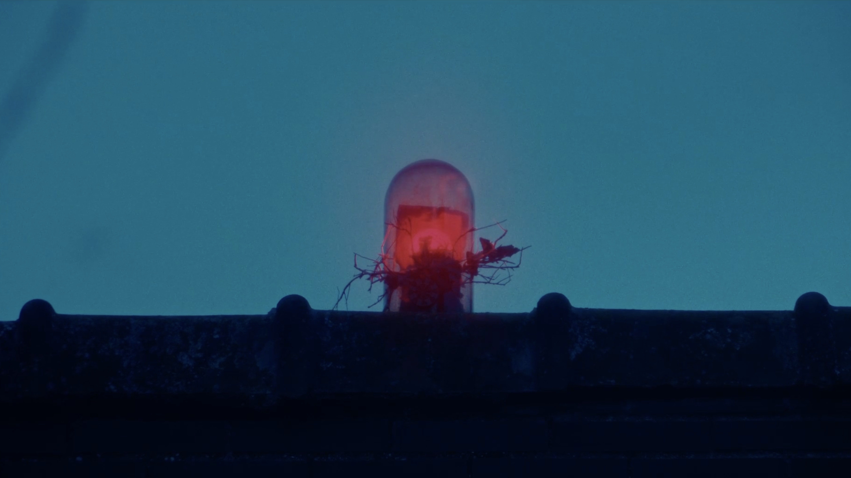The House of Monsters