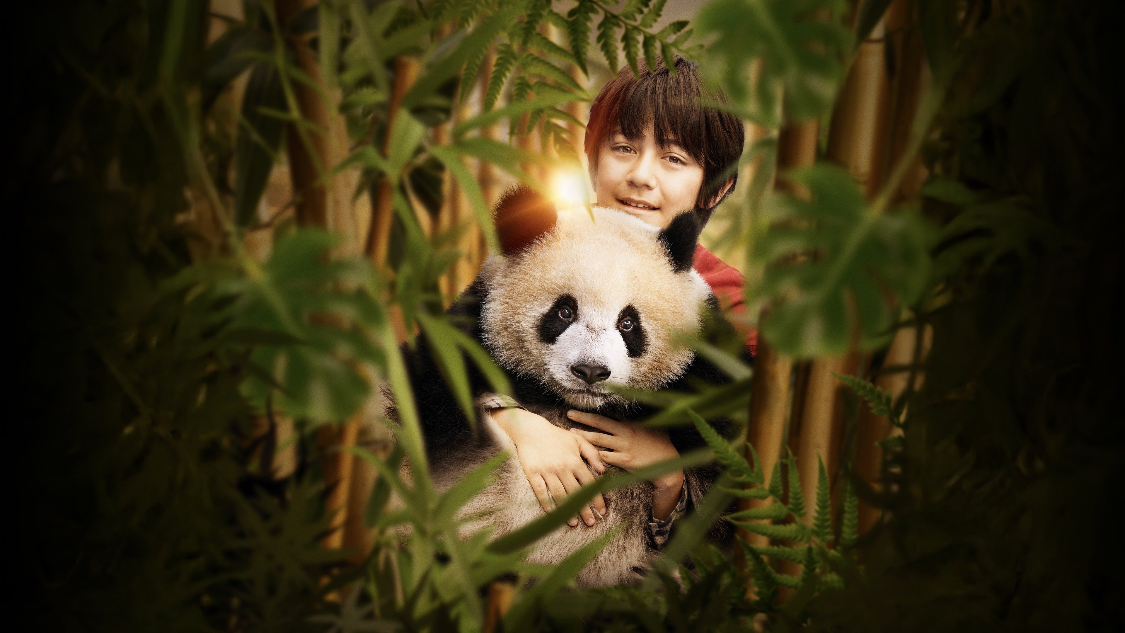 Moon the Panda