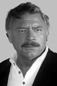 Nikša Stefanini