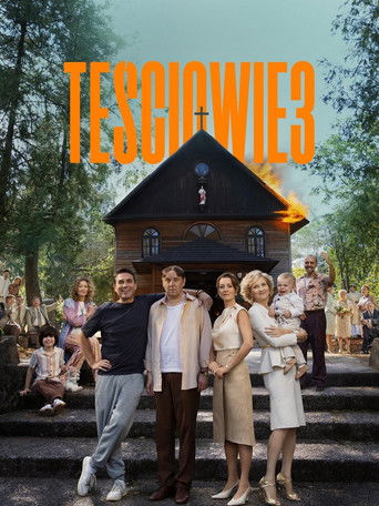 The In-Laws 3