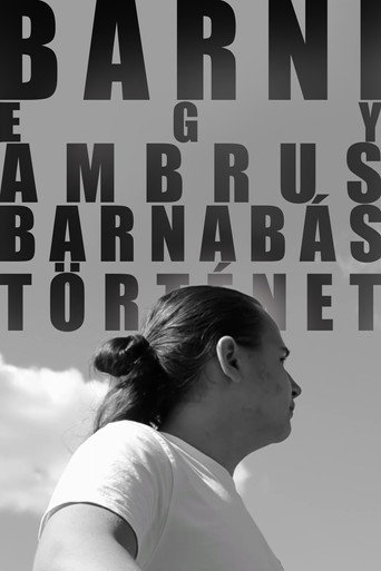 BARNI: A Barnabás Ambrus Story