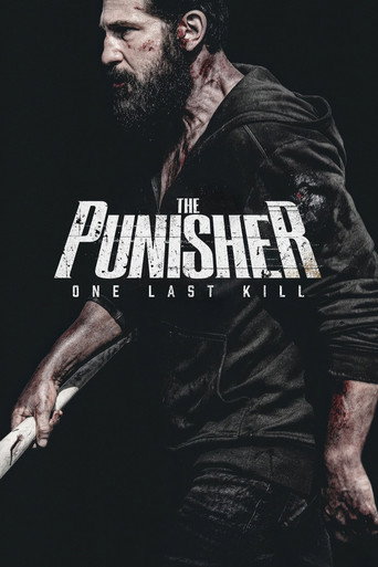 The Punisher: One Last Kill