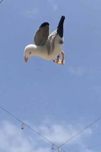 Double Jump