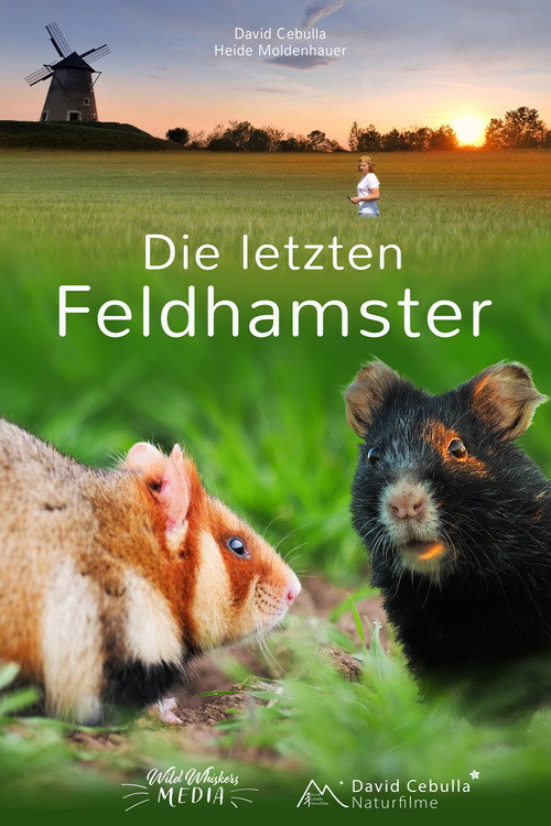 The Last Common Hamsters
